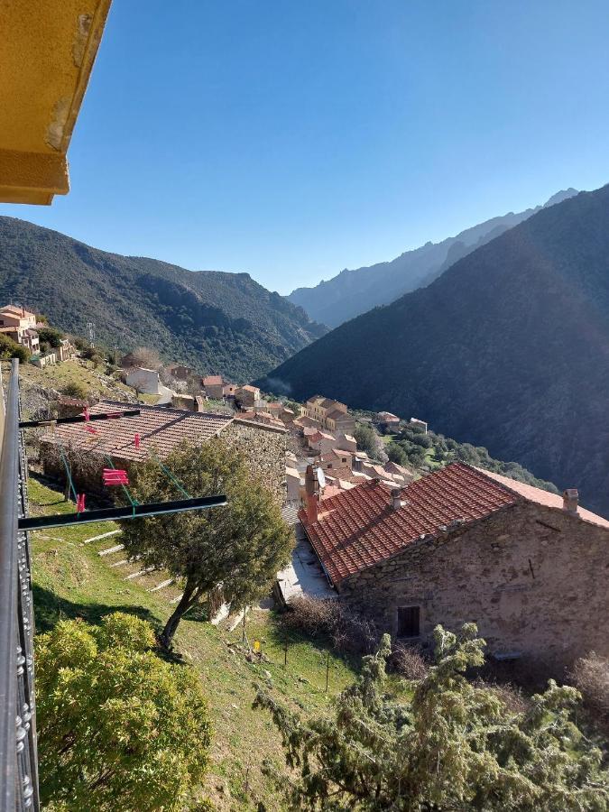 Residence E Cime Asco Locations De Studios Meubles エクステリア 写真