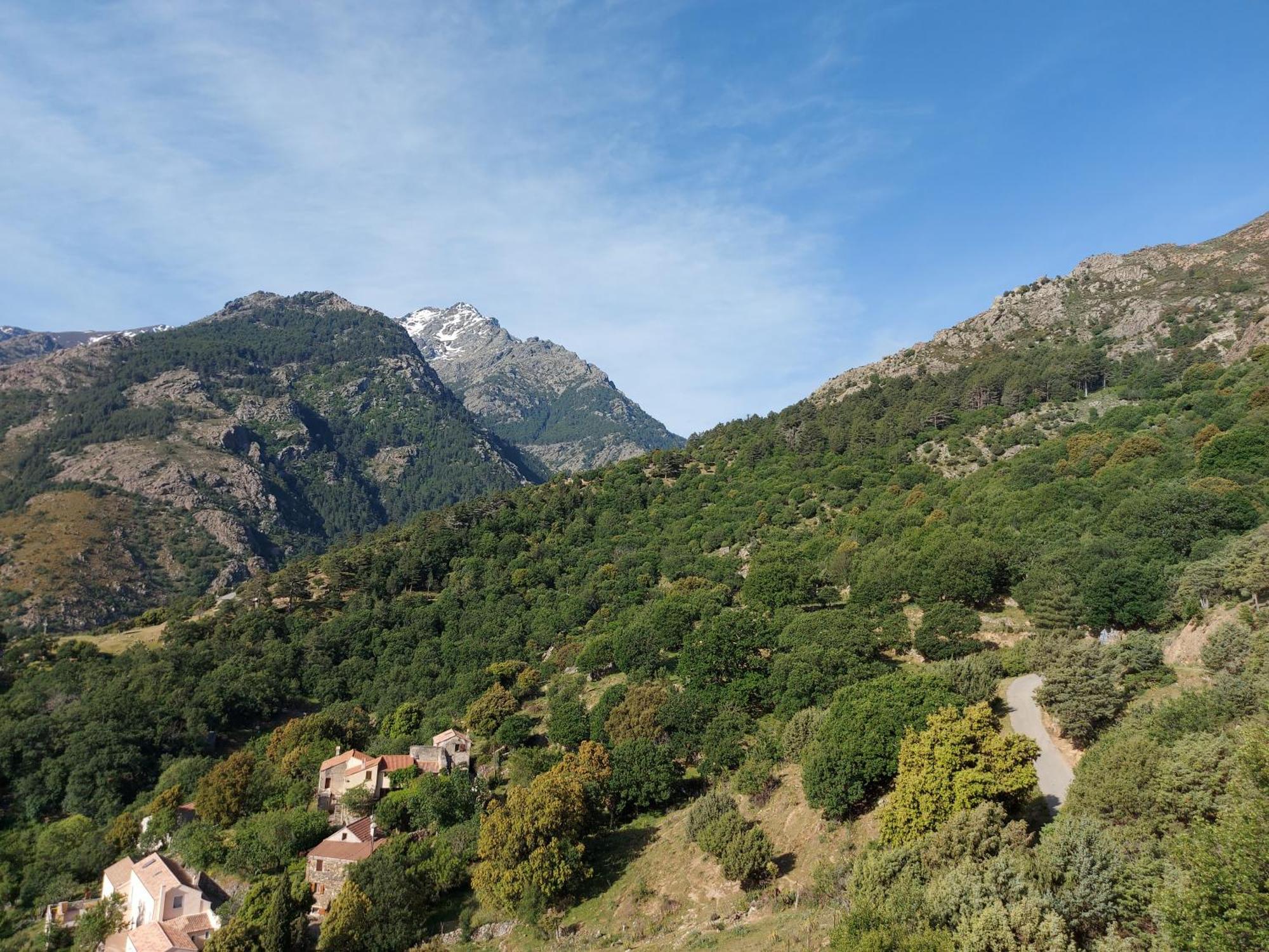 Residence E Cime Asco Locations De Studios Meubles エクステリア 写真